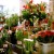 montreal florist's Gravatar