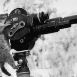 videocameraandpossum